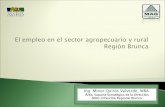 El empleo en el sector agropecuario y rural Región Brunca€¦ · Región Brunca en 2017 Indicadores generales Población total: 363.786 habitantes (7,4% del país) Densidad de población: