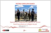 DESTINO CORDILLERA BLANCA - Gob€¦ · Parque Nacional Huascarán. Propuesta Principal de Venta: Trekking con Llamas por caminos ancestrales . Entre 1995 y 1996, la Administración