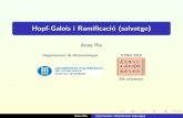 Hopf-Galois i Ramificaciأ³ (salvatge)stnb.cat/media/xerrades/presentacions/RioSTNB16_1.pdfآ  Galois