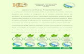 ¿Qué es la Certificación Ambiental Municipal?€¦ · Diseño de Ordenanza Ambiental. 2. Capacitación a Funcionarios y a Comité Ambiental Comunal en temáticas Ambientales. 3.