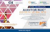 AUDITOR SG-SST (Dec. 1072) - Consejo Colombiano de Seguridad · evaluación RUC – Evaluación del Sistema de Gestión de Seguridad, Salud en el Trabajo y Ambiente para contratistas.