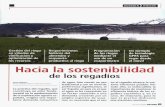 Revista Vida Rural, ISSN: 1133-8938 - mapa.gob.es€¦ · igualmente, y con el mismo nivel de aten-ción, su sostenibilidad ambiental. Esta últi-ma debe derivarse, entre otras pautas,