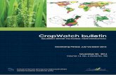CropWatch Bulletincropwatch.com.cn/htm/en/files/2015216154582971.pdf · Jiratiwan Kruasilp, Mrinal Singha, Qiang Xing, Nana Yan, Mingzhao Yu, Hongwei Zeng, Miao Zhang, Xin Zhang,