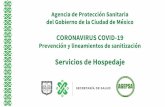 Presentación de PowerPoint COVID-19... · 5 6 7. Secretaria de Salud de la Ciudad de México Agencia de Protección Sanitaria del Gobierno de la Ciudad de México Otras características