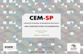 CEM-SP - ICOMnetwork.icom.museum/fileadmin/user_upload/mini...Registro Regional de Museos Fase Experimental Con base en los criterios enumerados, fue seleccionada la Región Metropolitana
