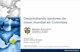 Desarrollando sectores de clase mundial en Colombiaproyectos.andi.com.co/cssa/Documents/Documento Final Turismo d… · Estrategia y propuesta de valor para el desarrollo del sector