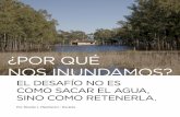 ¿POR QUÉ NOS INUNDAMOS? - Argentina Ambientalargentinambiental.com/wp-content/uploads/pdf/AA80-21-Por-que-no… · estas cuestiones en su libro “Las Secas y las Inunda-ciones