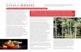 P R O G R A M A ONU-REDD El programa de …...El mecanismo de reducción de emisiones de la deforestación y la degradación de los bosques (REDD+) es una iniciativa que busca motivar