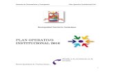 PLAN OPERATIVO INSTITUCIONAL Gerencia de Planeamiento y Presupuesto Plan Operativo Institucional 216