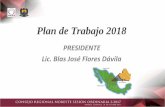 Plan de Trabajo 2018 - Consejo Regional Noreste · 2019-04-05 · colaboración, comisiones Y grupos de trabajo nacionales de la ANUIES aprobados por el Consejo Nacional en junio