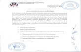TRIBUNAL SUPERIOR ELECTORAL REPÚBLICA DOMINICANA · 3. Flujogramas sobre expedientes contenciosos electorales y rectificaciones de Actas del Estado Civil: La magistrada, Dra. Mabel
