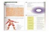 instemainbiologia.files.wordpress.com · 2011-10-19 · En la sopa de letras encontrarás 10 términos re- lacionados con el sistema muscular. Búscalos y, ... ruptura parcial o total