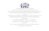 UNIVERSIDAD DE GUAYAQUIL FACULTAD DE CIENCIAS ...repositorio.ug.edu.ec/bitstream/redug/18289/1... · V Declaración de Autoría de Trabajo de Titulación Nosotros, Sánchez Herrera