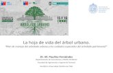 La hoja de vida del árbol urbano.€¦ · La hoja de vida del árbol urbano. “Plan de manejo del arbolado urbano y los cuidados especiales del arbolado patrimonial” Dr. M. Paulina