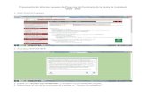 Presentación de informes anuales de Proyectos de ... · Presentación de informes anuales de Proyectos de Excelencia de la Junta de Andalucía 2010 y 2011 1- Abrir Internet Explorer