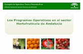 Los Programas Operativos en el sector Hortofrutícola de ... · del sector y el listado de las actuaciones subvencionables para la consecución de los objetivos. DIRECTRICES MEDIOAMBIENTALES: