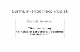 Burmuin-enborreko irudiak - Medikuntzako Ikasleak...Burmuin-enborreko irudiak Duane E. Haines-en “Neuroanatomy An Atlas of Structures, Sections, and Systems”
