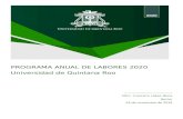 sigc.uqroo.mxsigc.uqroo.mx/Documentos generales/Planeacion/PAL/20…  · Web view2020. PROGRAMA ANUAL DE LABORES 2020. Universidad de Quintana Roo _____ Mtro. Francisco López Mena.