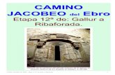 CAMINO JACOBEO Ebro...Itinerario y altitud. (Gallur 254 m. Ribaforada 265 m.) Plano empleado de la Web de la Diputación General de Aragón y Datos para organizarse con anticipación