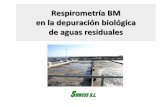 Respirometría BM en la depuración biológica de aguas residualesa-bm-básico_16576... · 2019-06-20 · La Respirometría BM es un método exclusivo desarrollado por SURCIS, S.L.