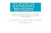 Intendencia de Montevideo. - Diagnóstico prospectivo revisado …montevideo.gub.uy/sites/default/files/biblioteca/... · 2019-03-22 · Los problemas del transporte público tienen