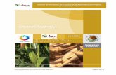 Informe de Rendición de Cuentas de la Administración Pœblica …inca.gob.mx/webfiles/irc_inca-rural-3_1.pdf · 2017-06-23 · ð•Lineamientos para la formulación del Informe