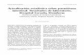 Actualización estadística sobre parasitismo intestinal ...ns.bvs.hn/RMH/pdf/2002/pdf/Vol70-2-2002-2.pdf · Parasitosis intestinales. Recuento de huevos de parásitos. ABSTRACT.