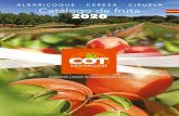 ALBARICOQUE - CEREZA - CIRUELA Catálogo de fruta 2020€¦ · Catálogo de fruta 2020 8 Media temporada Variedad protegida. Multiplicación y difusión prohibidas sin la autorización