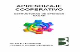APRENDIZAJE COOPERATIVO - Trinitarias de Alcorcón · aprendizaje, pueda y tenga que participar para que el grupo funcione. 2) El trabajo cooperativo estructurado La propuesta de