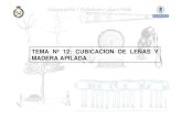 TEMA Nº 12: CUBICACION DE LEÑAS Y MADERA APILADAocw.upm.es/pluginfile.php/1100/mod_label/intro/Tema12.pdf: El volumen aparente de una pila formada por piezas de 4 pies de largo,