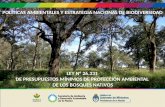 LEY N° 26.331 DE PRESUPUESTOS MÍNIMOS DE PROTECCIÓN ... · la tasa de deforestaciÓn nacional descendiÓ el 50% debido a seis aÑos de implementaciÓn de la ley 26.331, a la baja