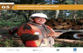 Caso de éxito - gob.mx · 2019-04-18 · 6 Caso de éxito05 industria forestal de aserrío, por un monto cercano a los 1.5 millones de pesos y en la construcción de un centro eco-turístico