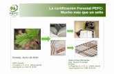 La certificación Forestal PEFC: Mucho más que un sello · Factores que impulsan la Certificación Forestal • La sostenibilidad está en la parte más alta de las agendas políticas