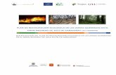  · A.4 Redacción del Plan de Restauración Ecológica de las zonas quemadas en el gran incendio de 2012 de Garajonay LIFE+ Garajonay Vive. LiFE13 NAT/ES/000240 3 Dirección técnica