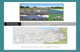 Programa de Desarrollo Rural Comarcal 2015-2020 · 2017-04-06 · de Desarrollo Rural Sostenible (PDRS) 2015-2020, marco financiero europeo que conlleva la publicación de los nuevos