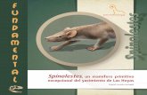 Spinolestes · 2020-03-28 · Es un conocido especialista en el estudio del origen y evolución de los mamíferos; junto con su equipo trabaja en los patrones de desarrollo de mamíferos