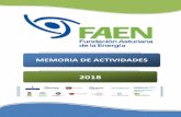 Memo Actividades FAEN 2013 - Fundación Asturiana de la ... · la guía de aprovechamiento energético de las redes hidráulicas en operación. ... Durante los primeros años de trabajó
