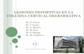 LESIONES DEPORTIVAS EN LA COLUMNA CERVICAL … · 2016-05-12 · LESIONES DEPORTIVAS EN LA COLUMNA CERVICAL DEGENERATIVA Dr. P. Clavel Dr. I. Catala Dr. G. Montes Dr. M. Rios Dr.