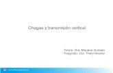 Chagas y transmisión vertical · Carlier Y. Acta Trop 2015. Enfermedad de Chagas. Carlier Y. Acta Trop 2015. Enfermedad de Chagas • Fase aguda: 8 a 12 semanas. Frecuentemente asintomática.