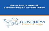 Plan Nacional de Protección y Atención Integral a la ... · Articulación en red para la garantía de servicios públicos (articulación con las UNAP y hospitales, junta central
