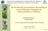 Desarrollo de Innovaciones Tecnológicas para el Manejo ... · Desarrollo de Innovaciones Tecnológicas para el Manejo Integrado de Enfermedades en Plátano Centro Internacional de