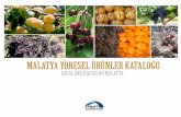 MALATYA YÖRESEL ÜRÜNLER KATALOGU · give its texture and form. Different spices and nuts are combined for different flavors. YöreselMalatya Ürünler Malatya Local Delicacies