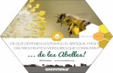 DE QUÈ DEPENEN LES POMES I EL BRÒQUIL I MOLTES …archivo-es.greenpeace.org/espana/Global/espana/2014...les abelles i la resta de pol.linitzadors. Monocultius Fan perillar les abelles