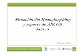 Situación del Huanglongbing y reporte de ARCOS. …...Comité Estatal de Sanidad Vegetal de Jalisco Situación fitosanitaria sobre el HLB, en huertos y superficie en Jalisco. Total