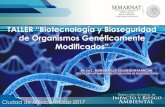 TALLER “Biotecnología y Bioseguridad · TALLER “Biotecnología y Bioseguridad de Organismos Genéticamente Modificados” Ciudad de México, Marzo 2017. SUSTENTO Garantizar un
