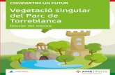 Vegetació singular del Parc de Torreblanca · • Interès per la protecció i cura de plantes de l’entorn proper. Canvis i continuïtats en el temps • Descoberta i valoració