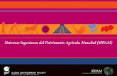Sistemas Ingeniosos del Patrimonio Agrícola Mundial (SIPAM) · 2012-06-22 · aún cultivan unas 200 variedades de papas nativas utilizando prácticas ancestrales ... reconoce la