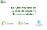 La Agroindustria de la caña de azúcar y la sostenibilidadweb.fedepalma.org › sites › default › files › files...1. Aislamientos de bosques nativos y corrientes de agua 2.