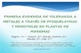 Presentación de PowerPoint - FIQ - UNL...PRIMERA EVIDENCIA DE TOLERANCIA A METALES A TRAVÉS DE FITOQUELATINAS Y MONOTIOLES EN PLANTAS DE MARISMAS aIADO (Instituto Argentino de Oceanografía)-CONICET,