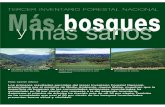 TERCER INVENTARIO FORESTAL NACIONALMás bosques y más …hispagua.cedex.es/sites/default/files/hispagua_articulo/... · 2001-10-26 · TERCER INVENTARIO FORESTAL NACIONALMás bosques